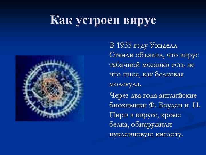 Как устроен вирус В 1935 году Уэнделл Стэнли объявил, что вирус табачной мозаики есть
