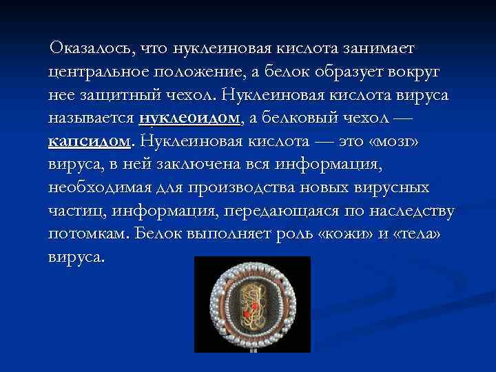 Оказалось, что нуклеиновая кислота занимает центральное положение, а белок образует вокруг нее защитный чехол.