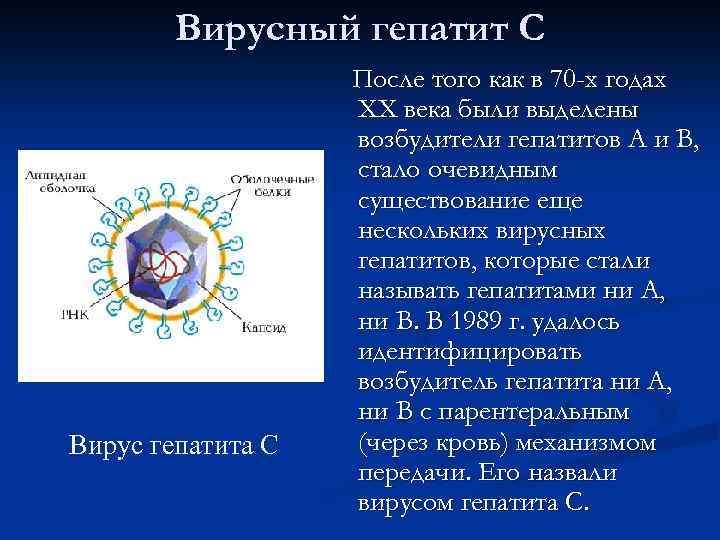 Вирусный гепатит С Вирус гепатита C После того как в 70 -х годах ХХ