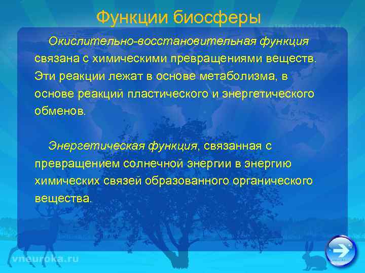 Функции биосферы Окислительно-восстановительная функция связана с химическими превращениями веществ. Эти реакции лежат в основе