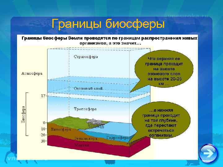 Границы биосферы 