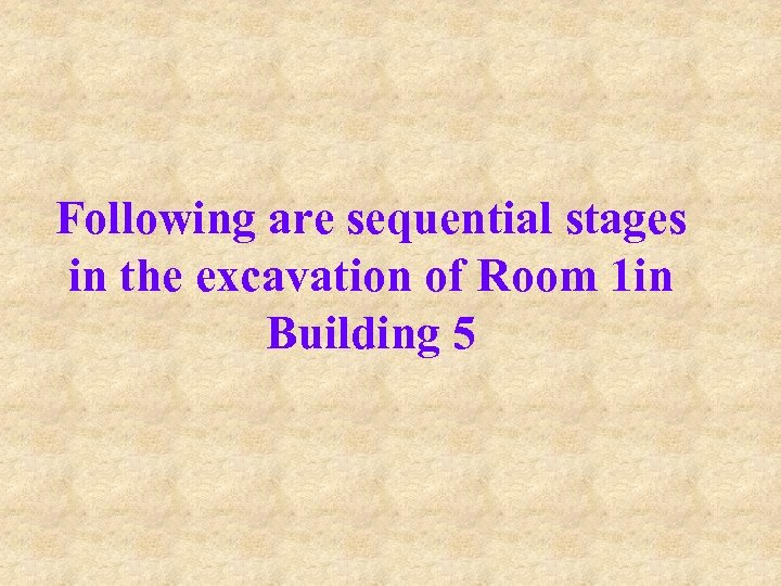 Following are sequential stages in the excavation of Room 1 in Building 5 