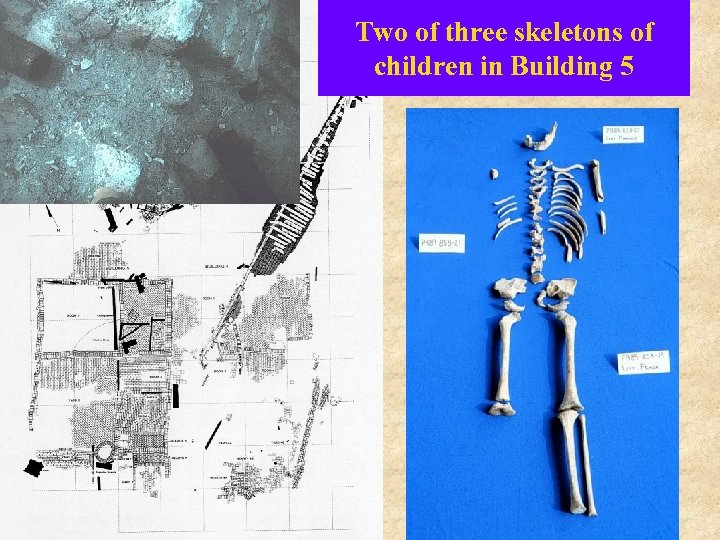 Two of three skeletons of children in Building 5 