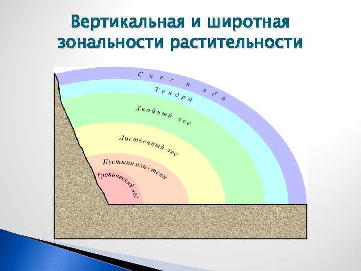 Природная зона широтная зональность