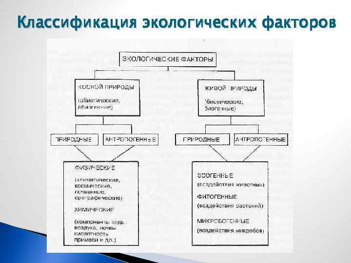 Схема классификации экологических факторов