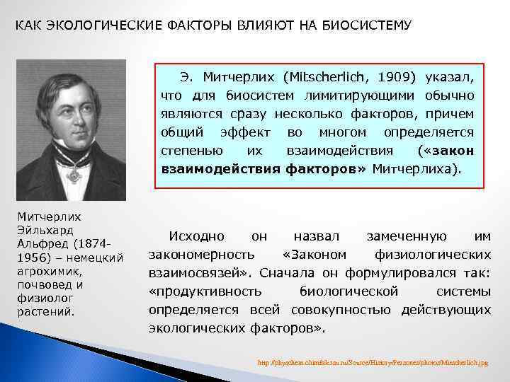КАК ЭКОЛОГИЧЕСКИЕ ФАКТОРЫ ВЛИЯЮТ НА БИОСИСТЕМУ Э. Митчерлих (Mitscherlich, 1909) указал, что для биосистем