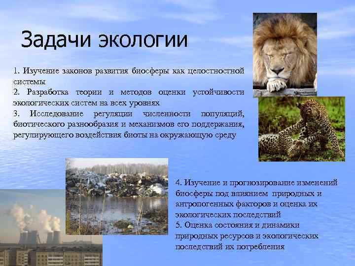 Задачи экологии 1. Изучение законов развития биосферы как целостной системы 2. Разработка теории и