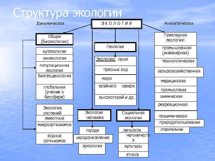 Экологическая структура