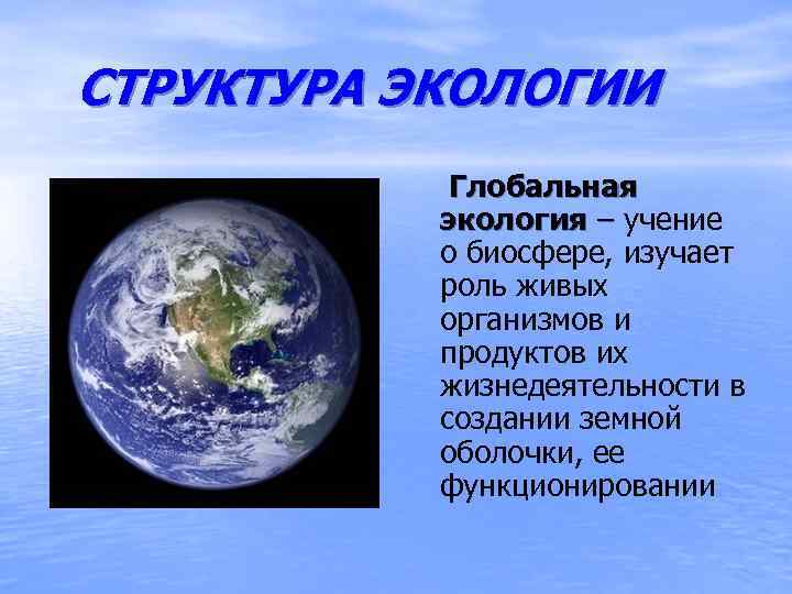 СТРУКТУРА ЭКОЛОГИИ Глобальная экология – учение о биосфере, изучает роль живых организмов и продуктов