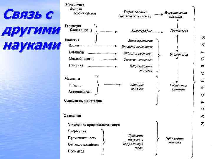 Связь с другими науками 