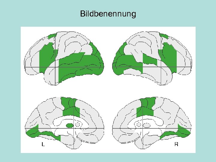 Bildbenennung 