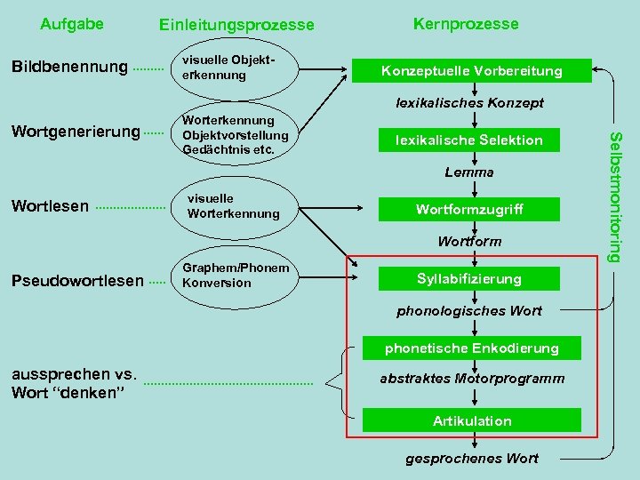 Aufgabe Bildbenennung Einleitungsprozesse visuelle Objekterkennung Kernprozesse Konzeptuelle Vorbereitung lexikalisches Konzept lexikalische Selektion Lemma Wortlesen