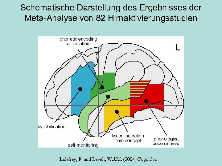 Schematische Darstellung des Ergebnisses der Meta-Analyse von 82 Hirnaktivierungsstudien Indefrey, P. and Levelt, W.