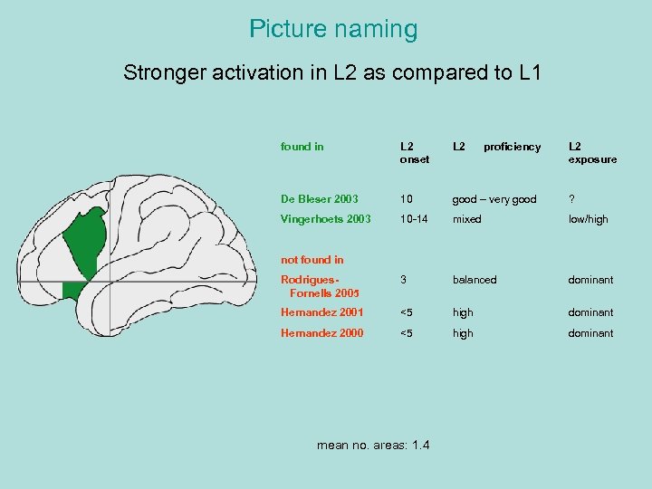 Picture naming Stronger activation in L 2 as compared to L 1 found in