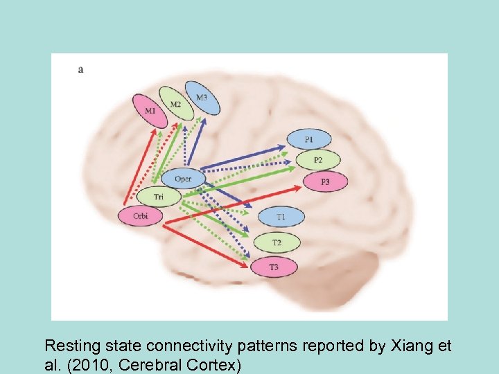 Resting state connectivity patterns reported by Xiang et al. (2010, Cerebral Cortex) 