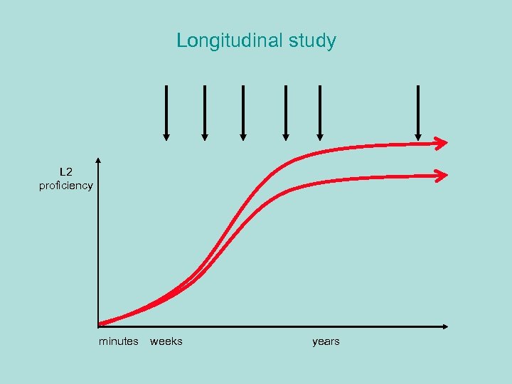 Longitudinal study L 2 proficiency minutes weeks years 