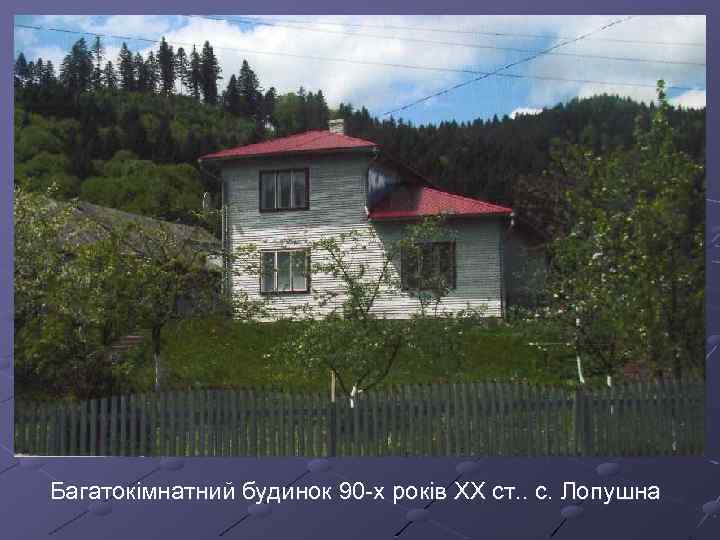 Багатокімнатний будинок 90 -х років ХХ ст. . с. Лопушна 