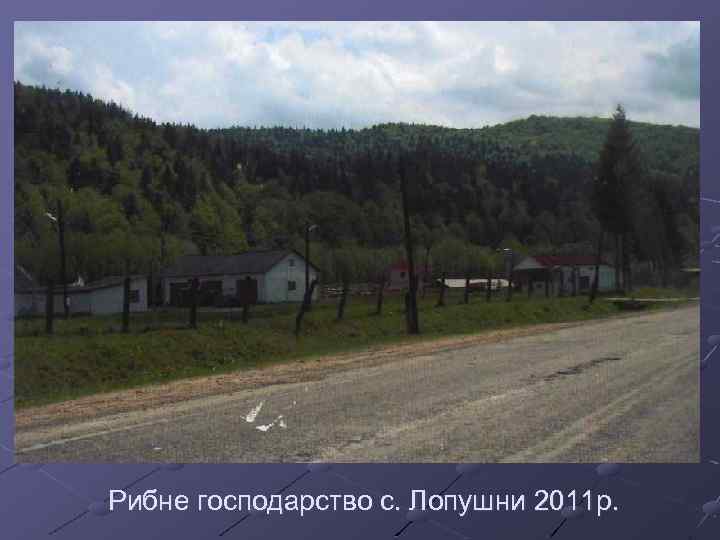 Рибне господарство с. Лопушни 2011 р. 