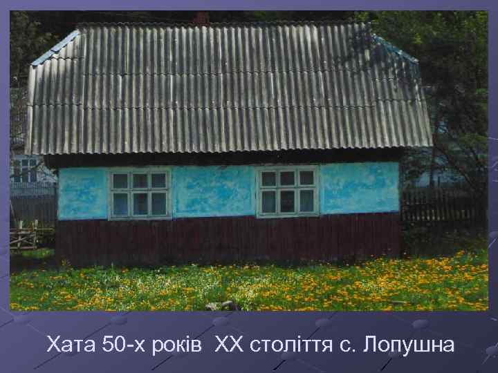 Хата 50 -х років ХХ століття с. Лопушна 