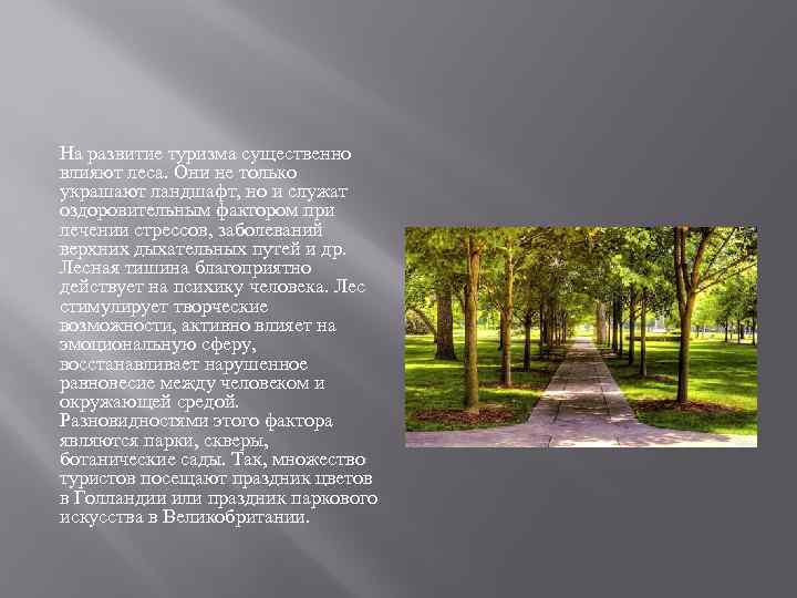 На развитие туризма существенно влияют леса. Они не только украшают ландшафт, но и служат