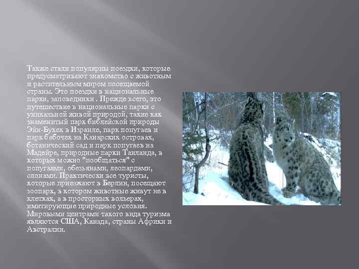 Также стали популярны поездки, которые предусматривают знакомство с животным и растительным миром посещаемой страны.