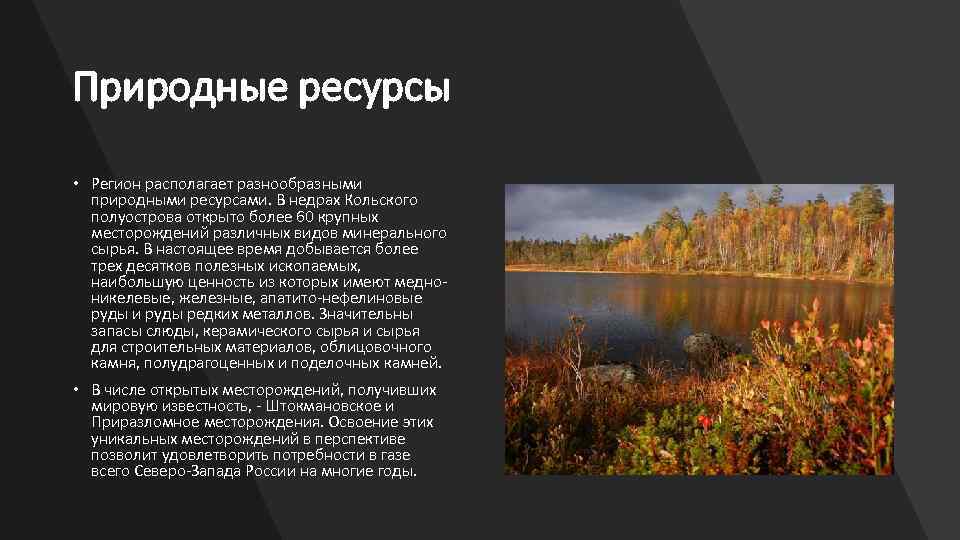 Природные ресурсы • Регион располагает разнообразными природными ресурсами. В недрах Кольского полуострова открыто более