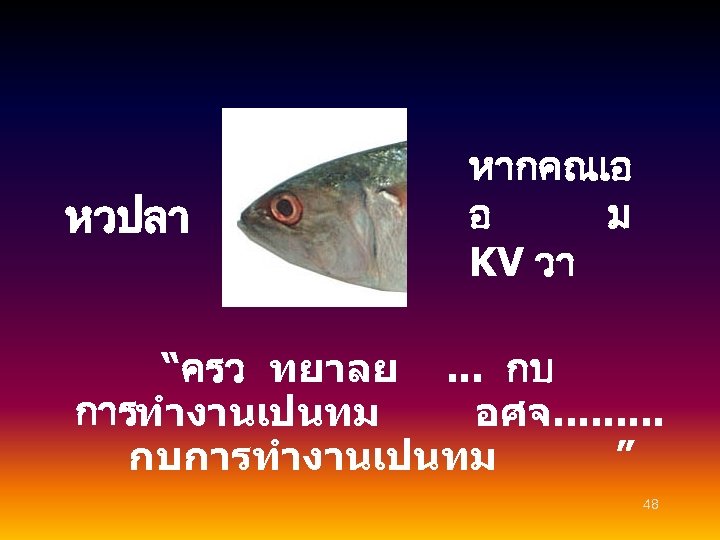 หวปลา หากคณเอ อ ม KV วา “ครว ทยาลย. . . กบ การทำงานเปนทม อศจ. .