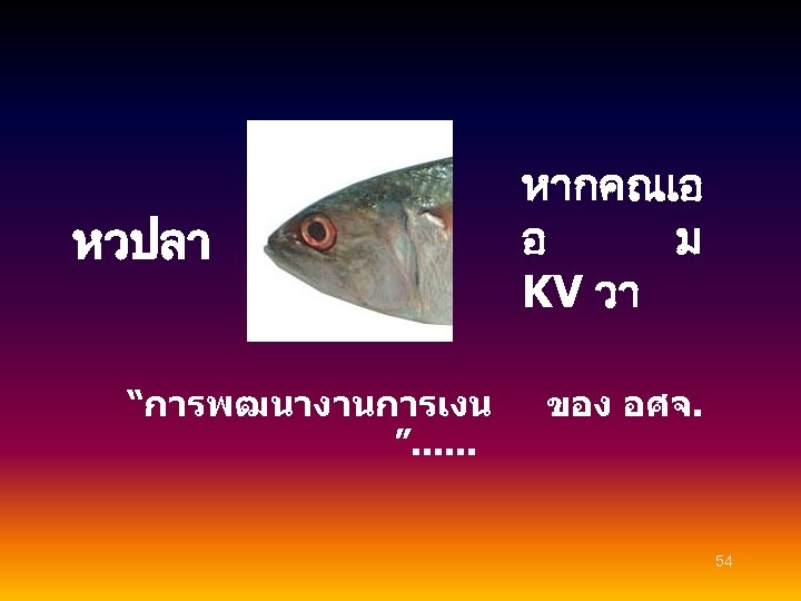 หวปลา “การพฒนางานการเงน ”. . . หากคณเอ อ ม KV วา ของ อศจ. 54 