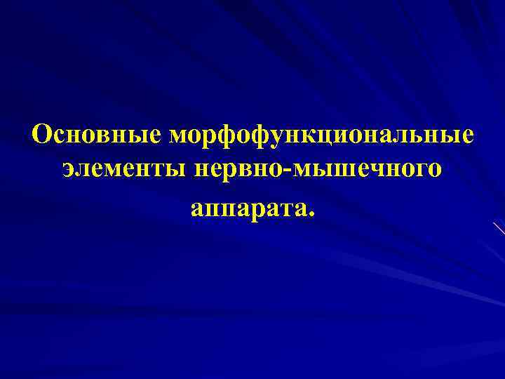 Основные морфофункциональные элементы нервно-мышечного аппарата. 