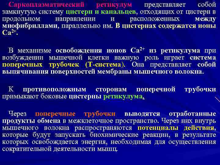 Саркоплазматический ретикулум представляет собой замкнутую систему цистерн и канальцев, отходящих от цистерн в продольном