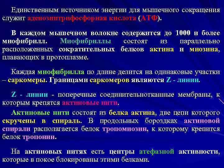 Единственным источником энергии для мышечного сокращения служит аденозинтрифосфорная кислота (АТФ). В каждом мышечном волокне