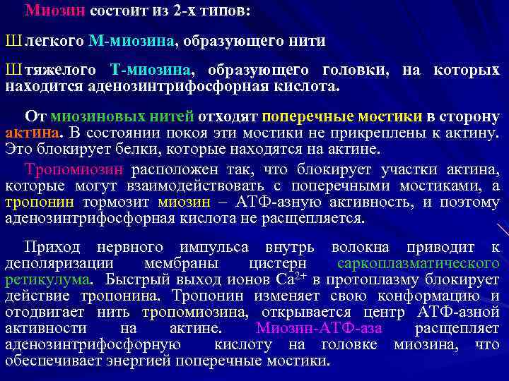 Миозин состоит из 2 -х типов: Ш легкого М-миозина, образующего нити Ш тяжелого Т-миозина,