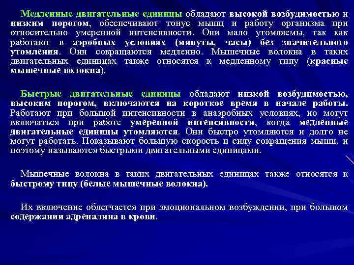 Медленные двигательные единицы обладают высокой возбудимостью и низким порогом, обеспечивают тонус мышц и работу