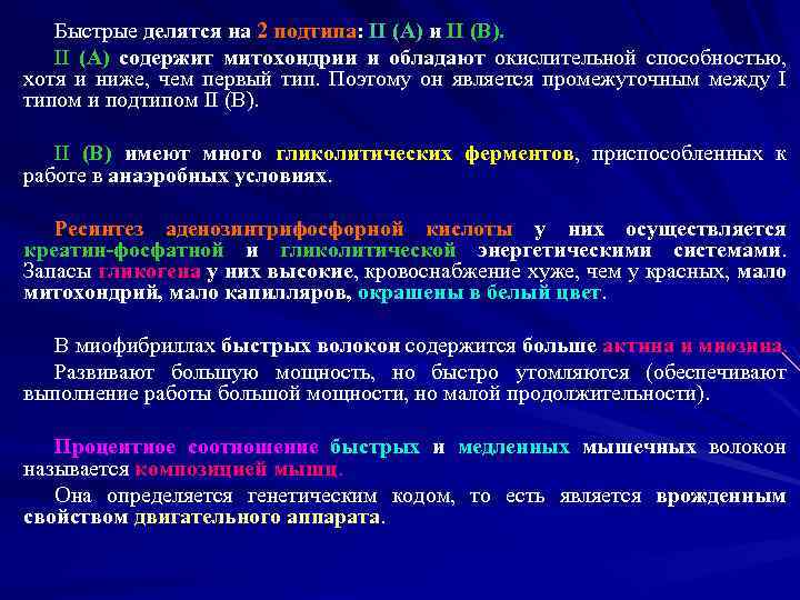 Быстрые делятся на 2 подтипа: II (A) и II (B). II (A) содержит митохондрии