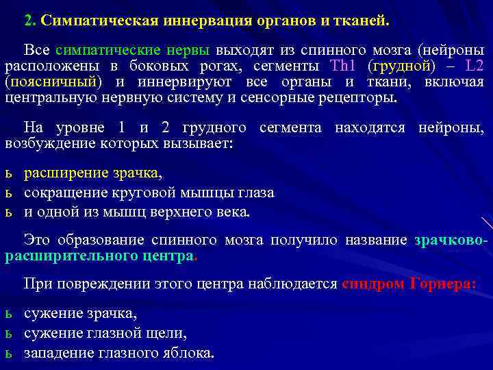 2. Симпатическая иннервация органов и тканей. Все симпатические нервы выходят из спинного мозга (нейроны