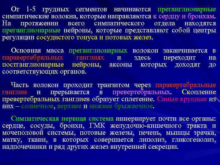 От 1 -5 грудных сегментов начинаются преганглионарные симпатические волокна, которые направляются к сердцу и