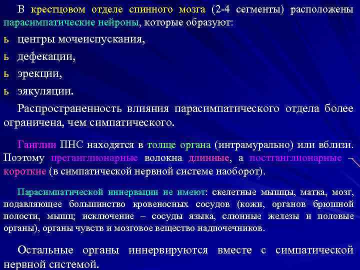 В крестцовом отделе спинного мозга (2 -4 сегменты) расположены парасимпатические нейроны, которые образуют: ь