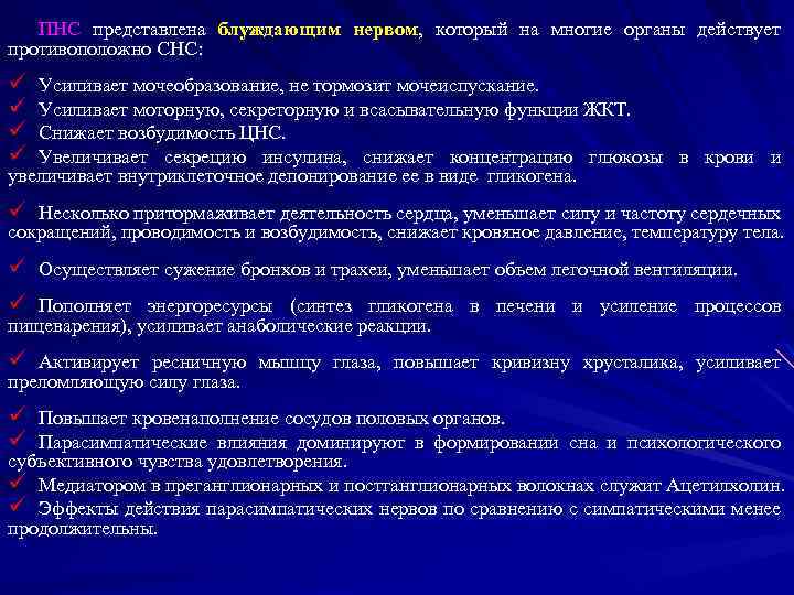 ПНС представлена блуждающим нервом, который на многие органы действует противоположно СНС: ü ü Усиливает
