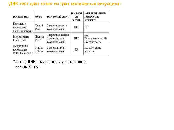 ДНК-тест дает ответ из трех возможных ситуациях: Тест на ДНК - надежное и достоверное