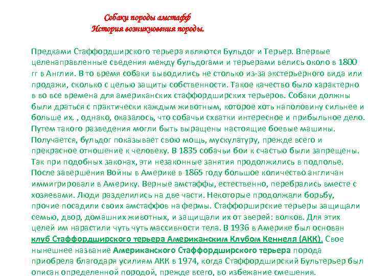 Cобаки породы амстафф История возникновения породы. Предками Стаффордширского терьера являются Бульдог и Терьер. Впервые