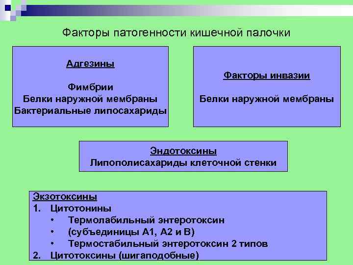 Факторы патогенности кишечной палочки Адгезины Факторы инвазии Фимбрии Белки наружной мембраны Бактериальные липосахариды Белки