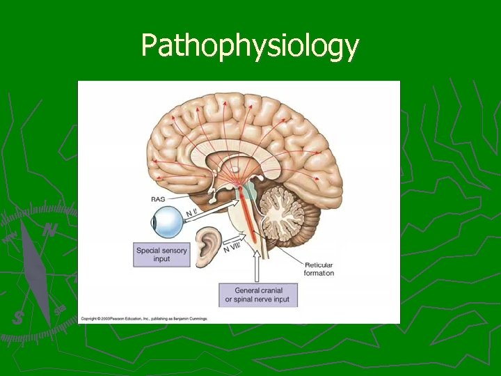 Pathophysiology 