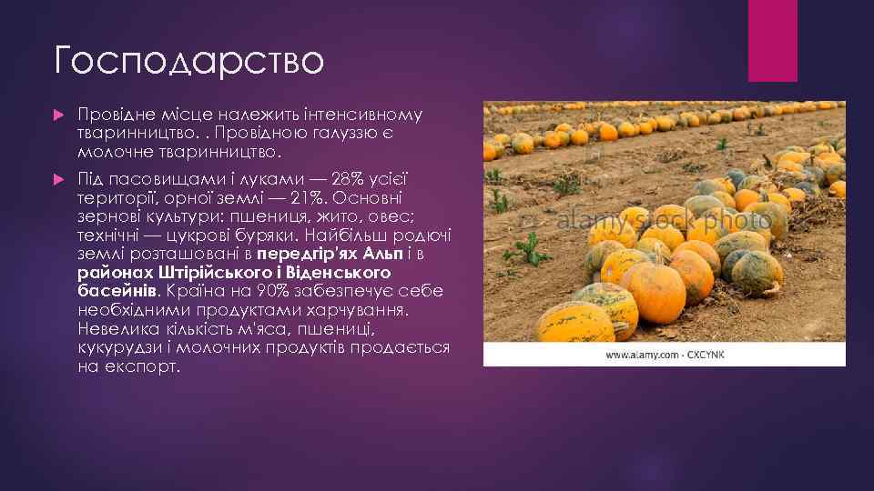 Господарство Провідне місце належить інтенсивному тваринництво. . Провідною галуззю є молочне тваринництво. Під пасовищами