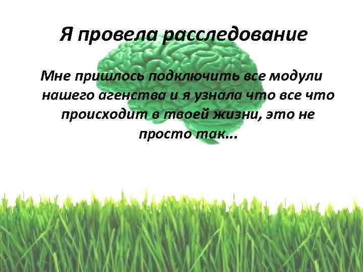 Я провела расследование Мне пришлось подключить все модули нашего агенства и я узнала что