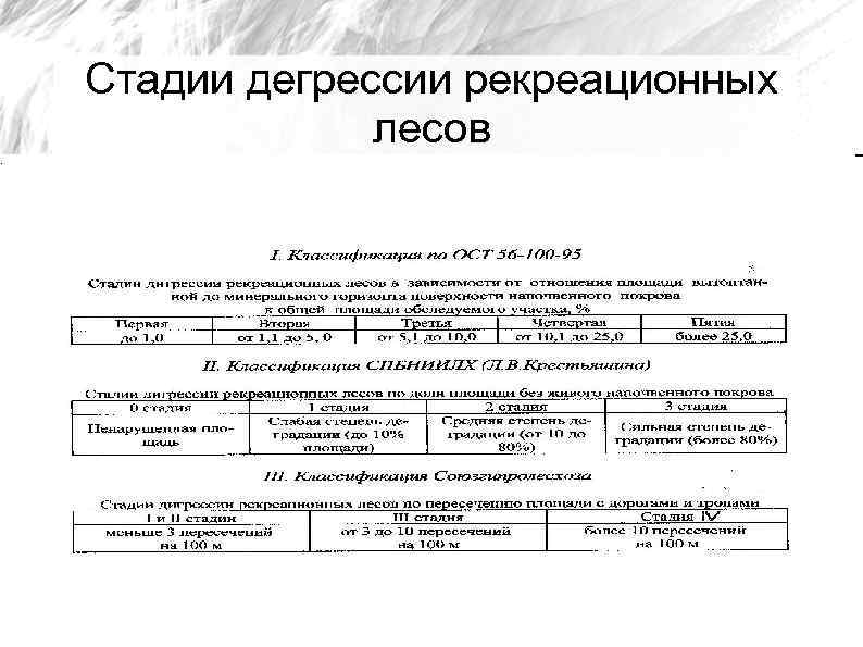 Стадии дегрессии рекреационных лесов 