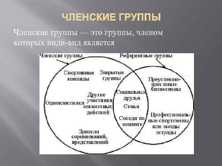 ЧЛЕНСКИЕ ГРУППЫ Членские группы — это группы, членом которых инди вид является 