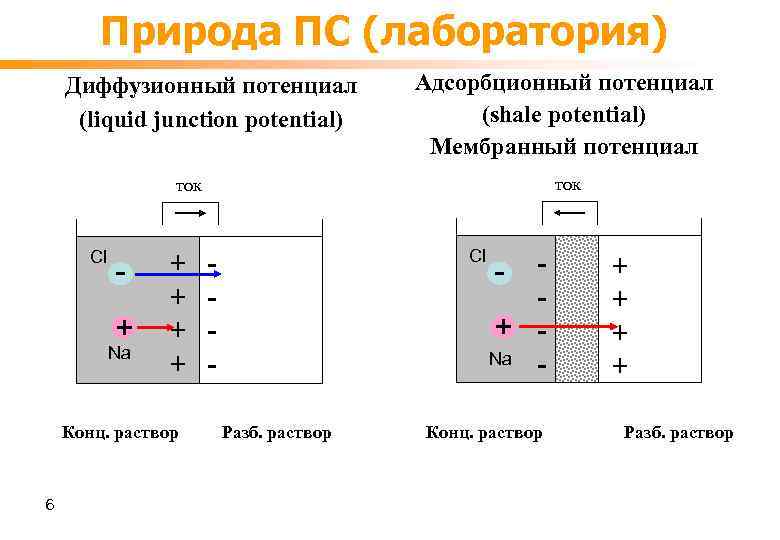 Природа ПС (лаборатория) Диффузионный потенциал (liquid junction potential) Адсорбционный потенциал (shale potential) Мембранный потенциал