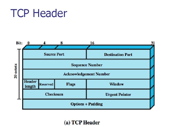 TCP Header 