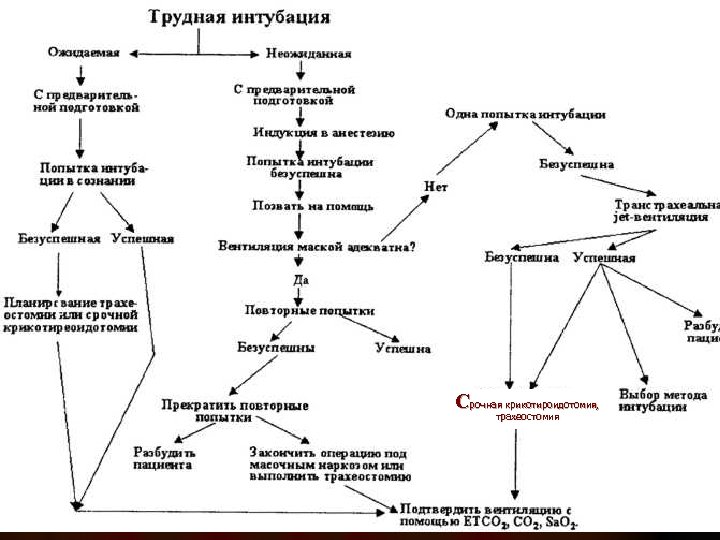 Срочная крикотироидотомия, , крикотироидотомия трахеостомия 