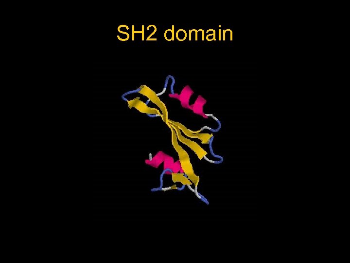 SH 2 domain 